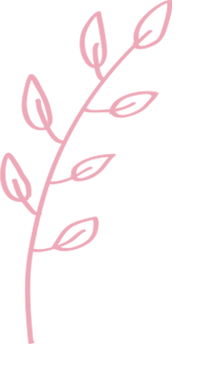 Zweig_rosa
